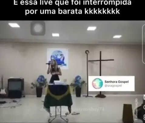 Prévia da publicação de ronnycowboy74