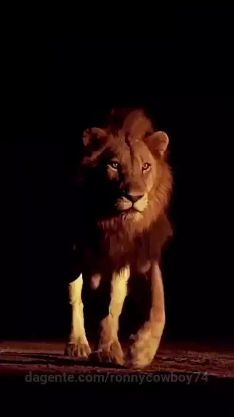 video poster