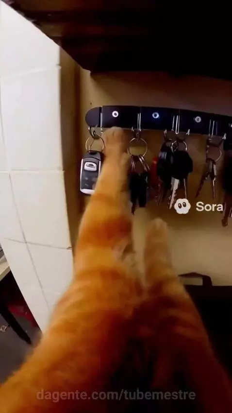 Os Vídeos de IA Mais Viral   Sora2   Veo3 #11  ⁨@djdtoficial... by tubemestre