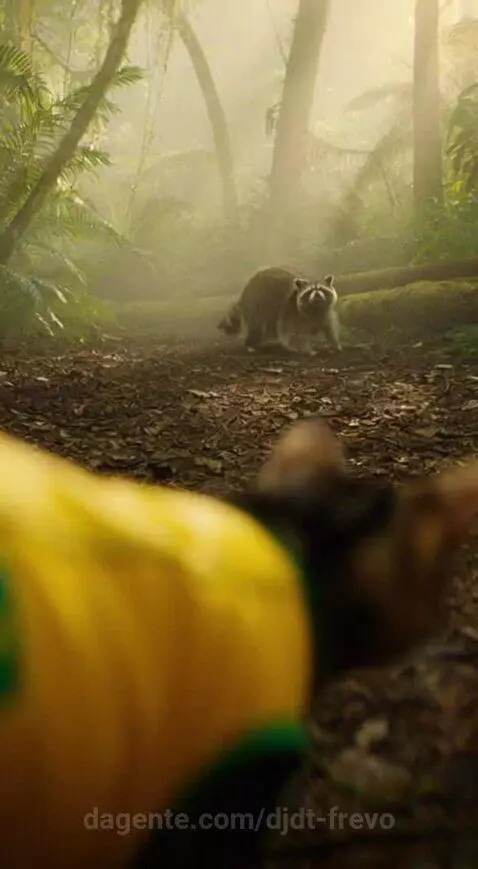 Instinto Selvagem Gata de Roupa do Brasil Enfrenta um Guaxin... by djdt-frevo
